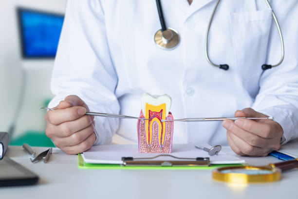 Best Emergency Dental Care for Trauma or Injury in Bloomingdale, GA